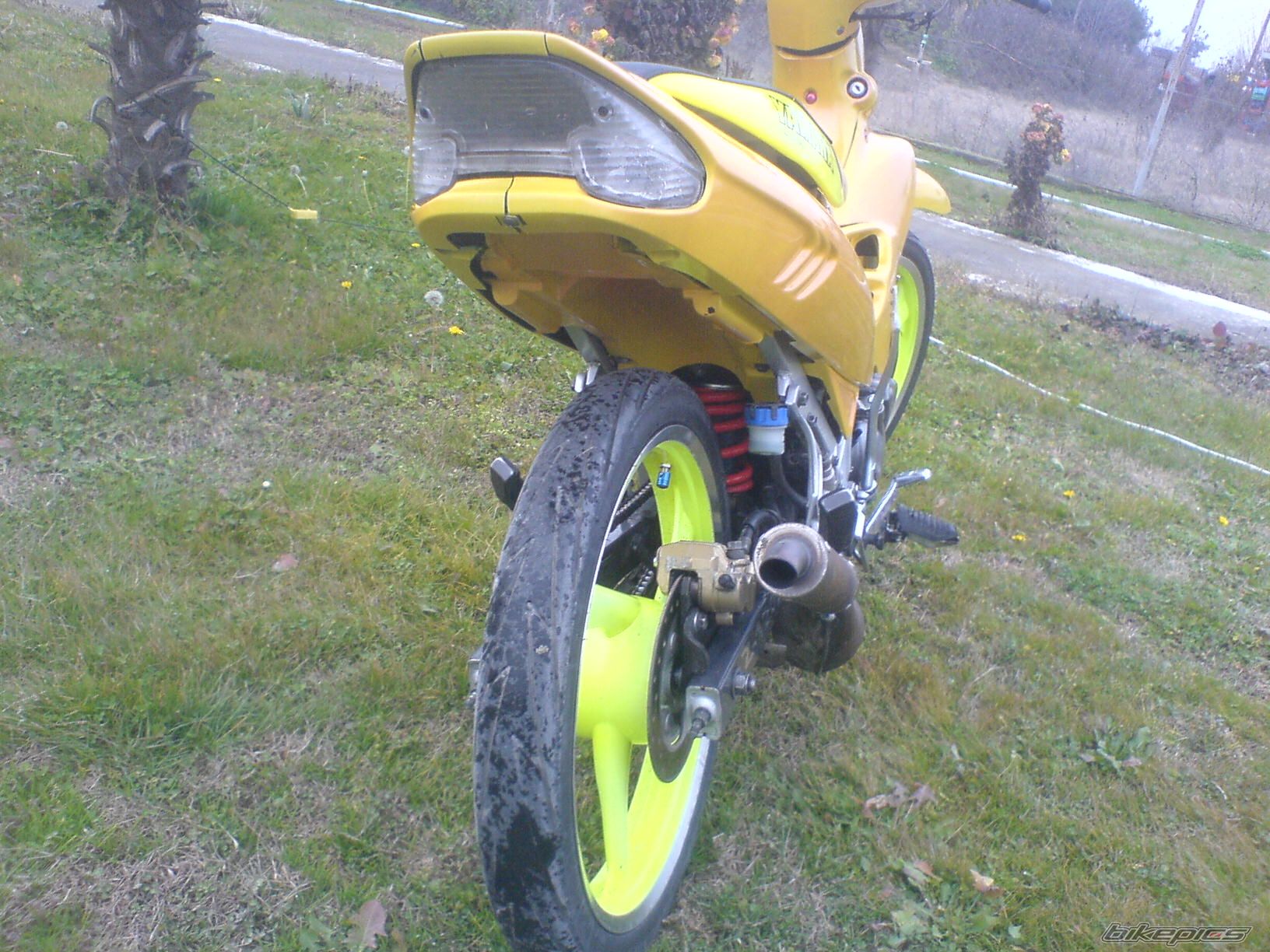 Photo 1714270