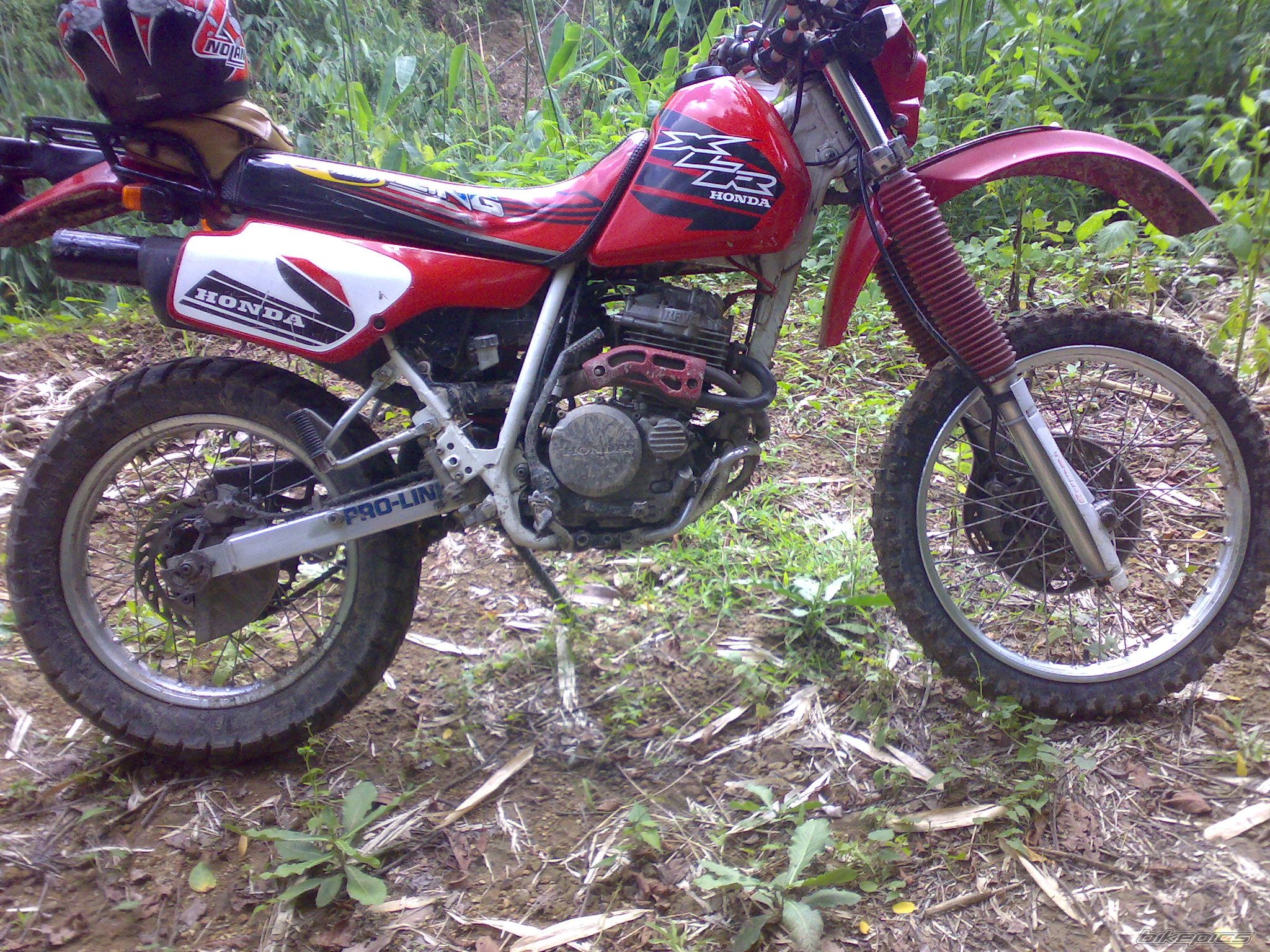 Photo 1714390
