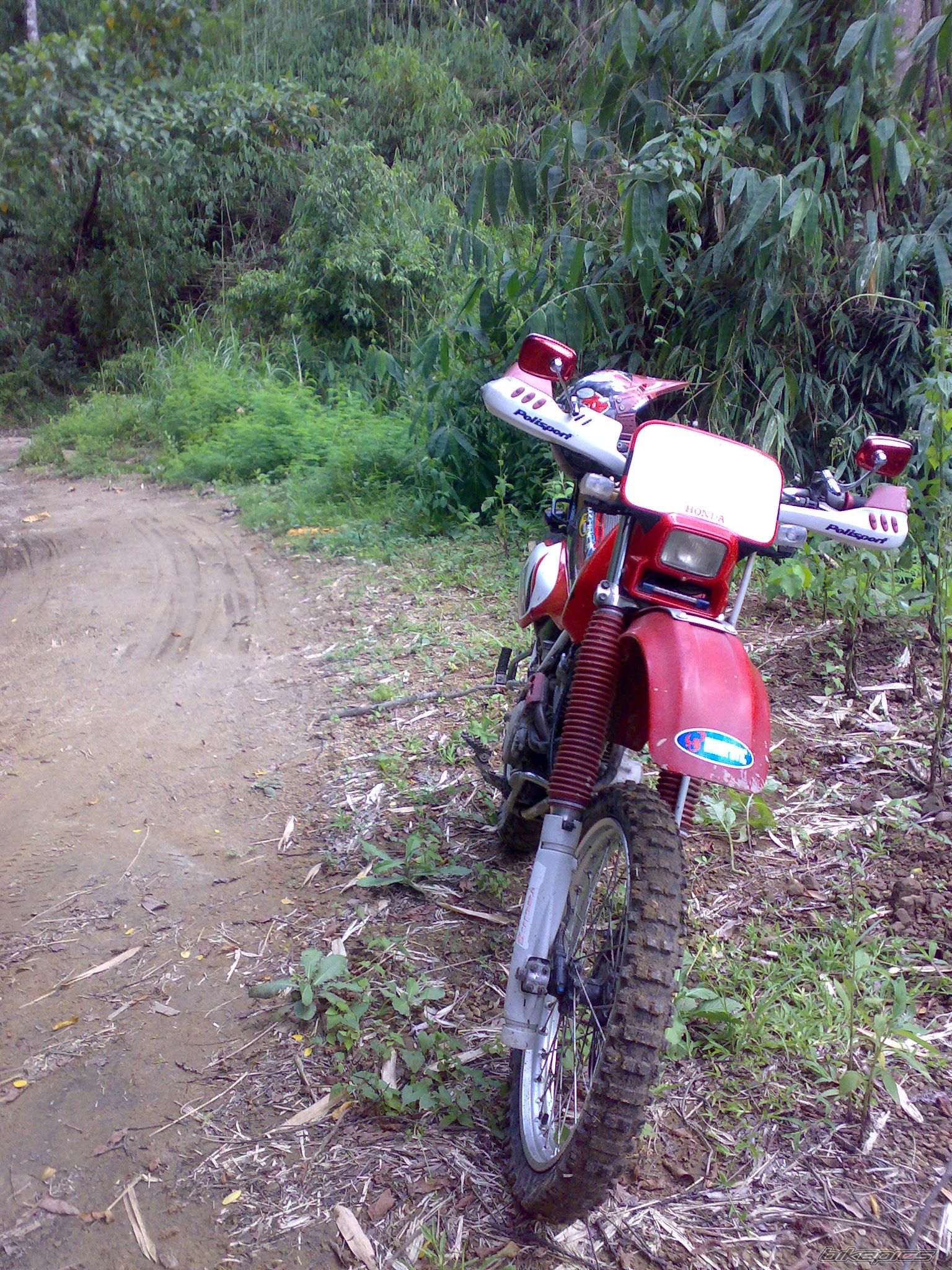 Photo 1714400