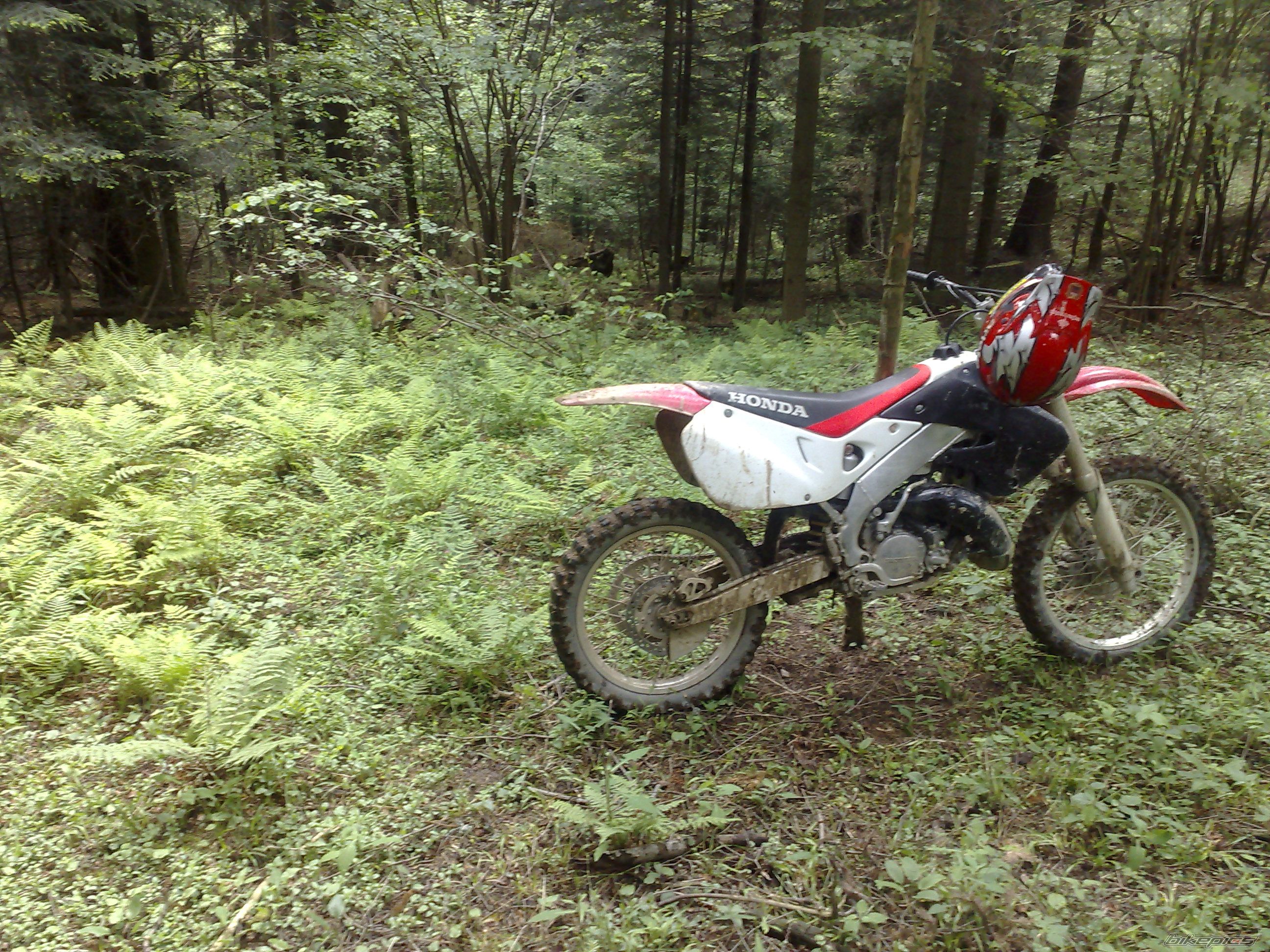 Photo 1714486