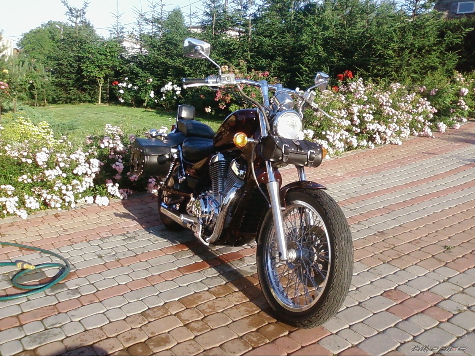 Photo 1714758