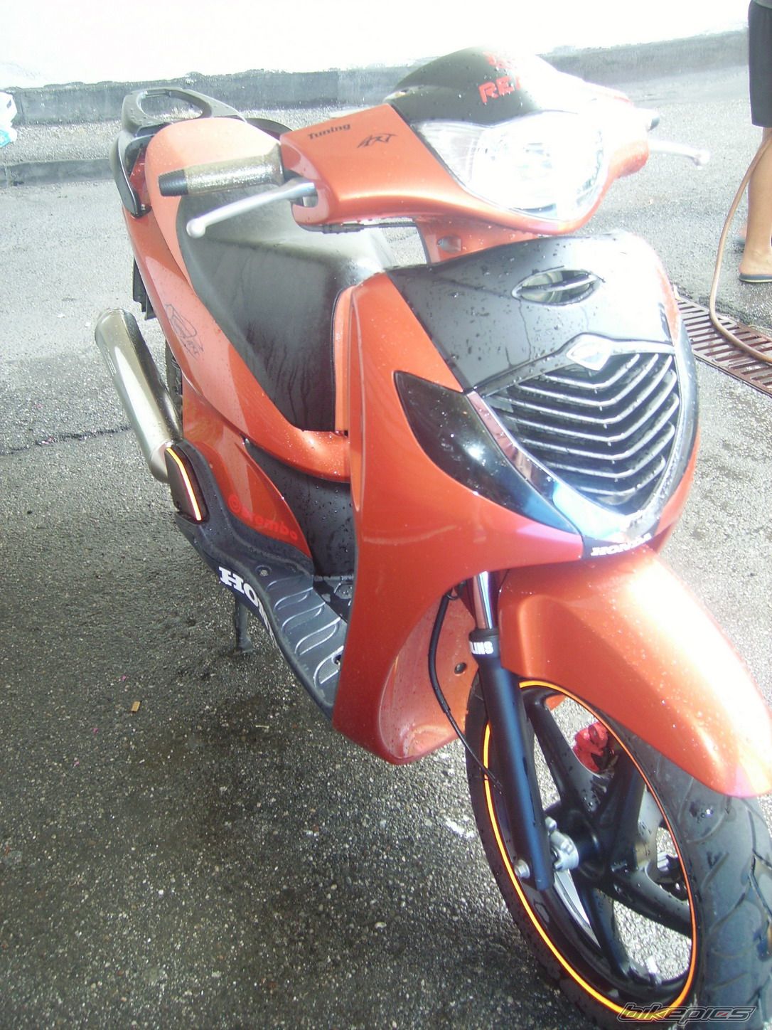 Photo 1714856