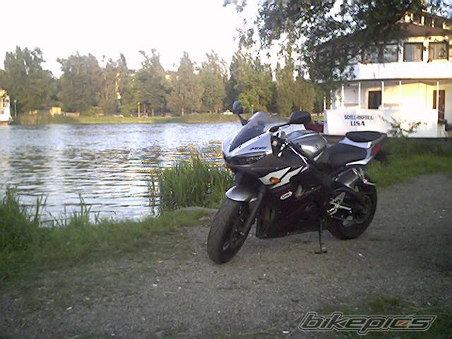 Photo 171520