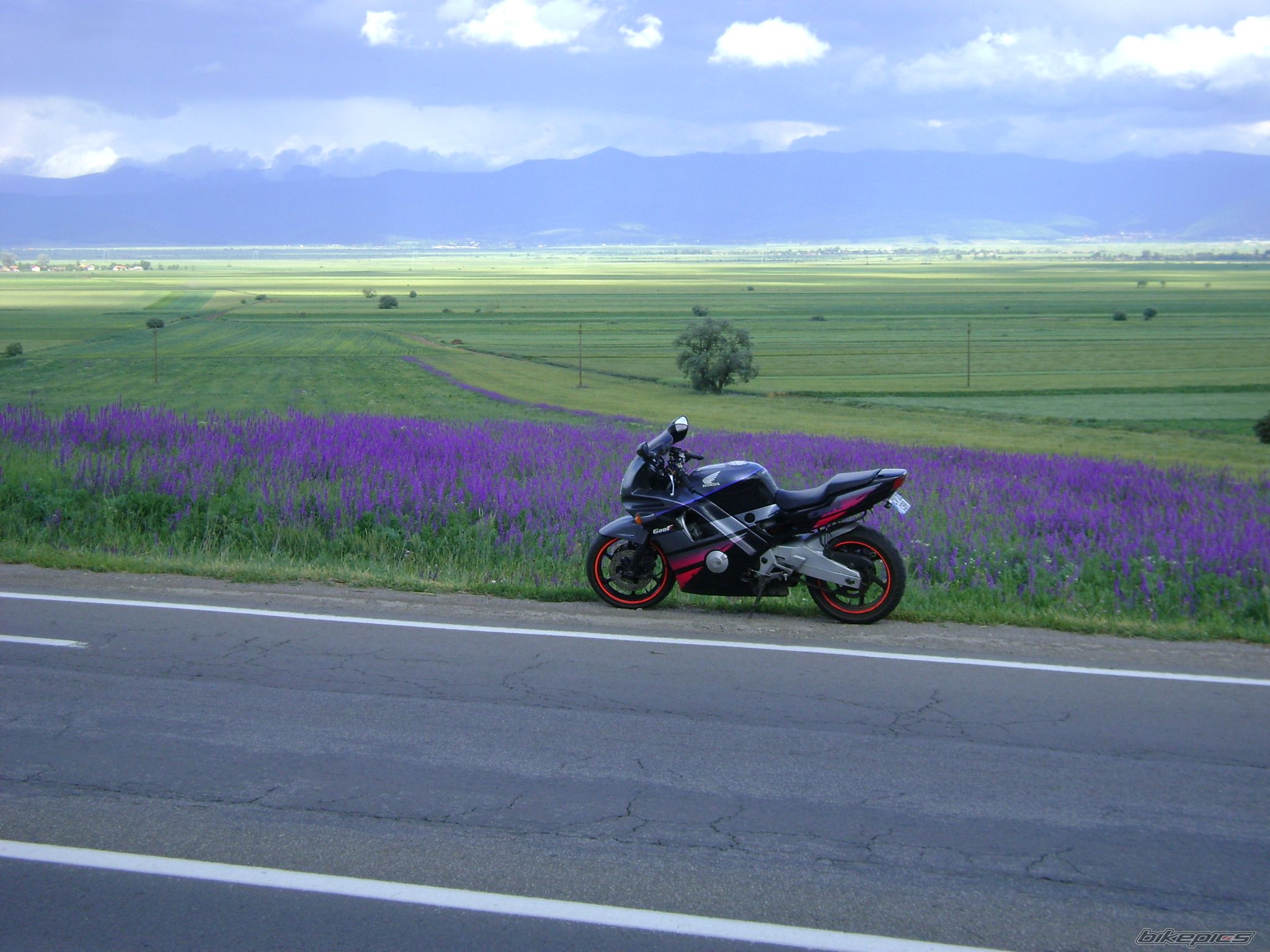 Photo 1715279