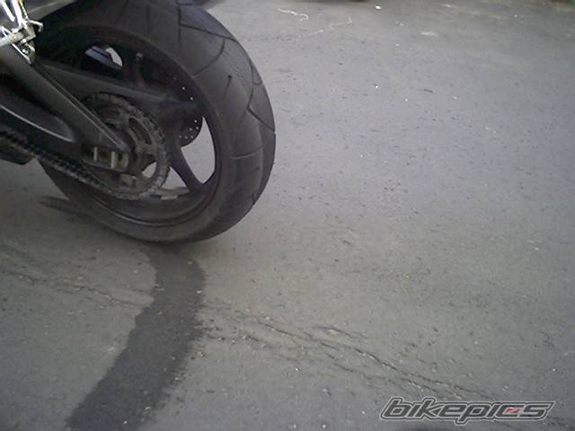 Photo 171531