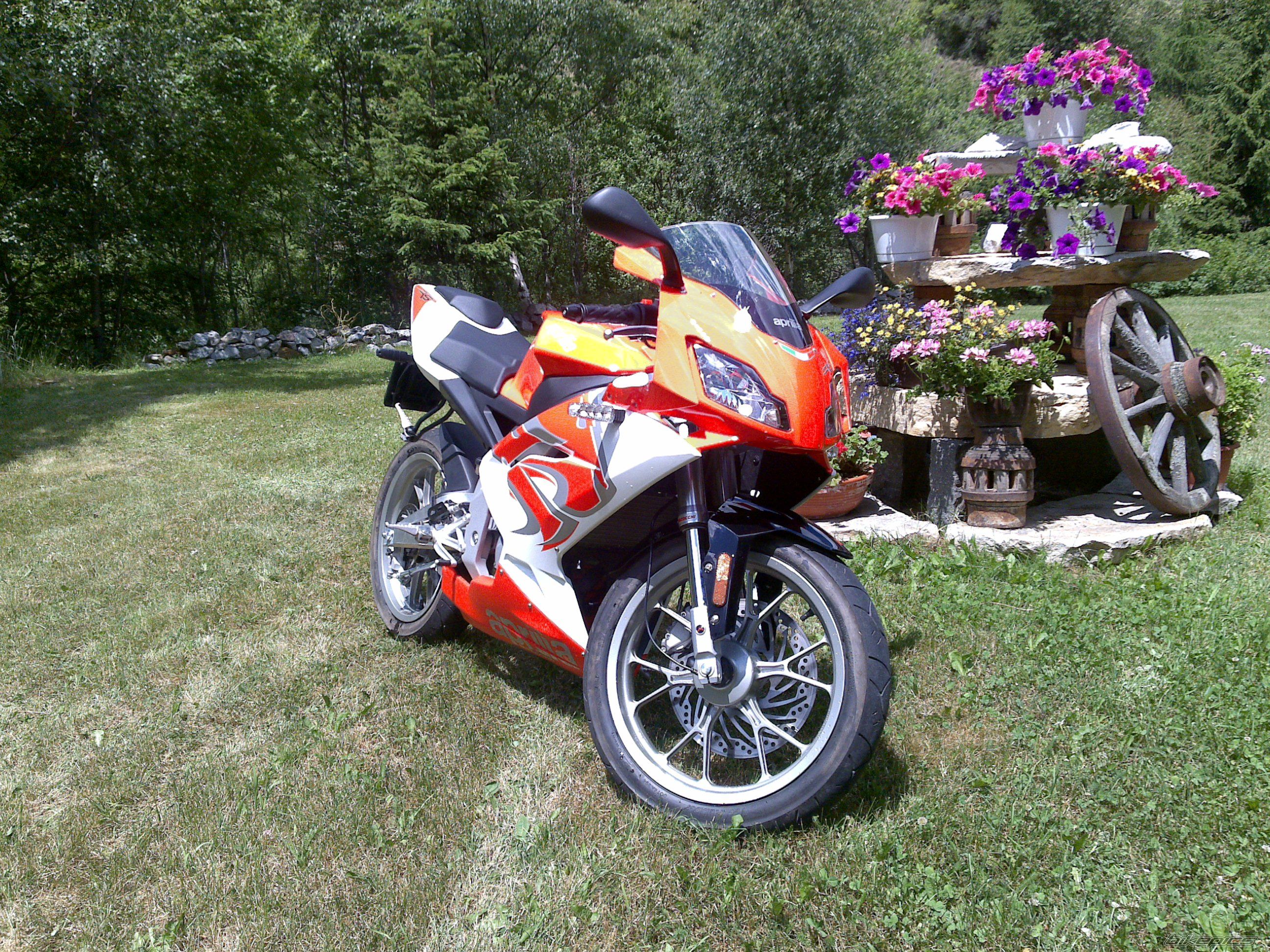 Photo 1715311