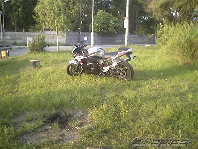 Photo 171533