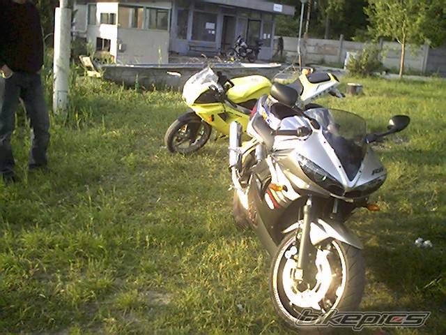 Photo 171534