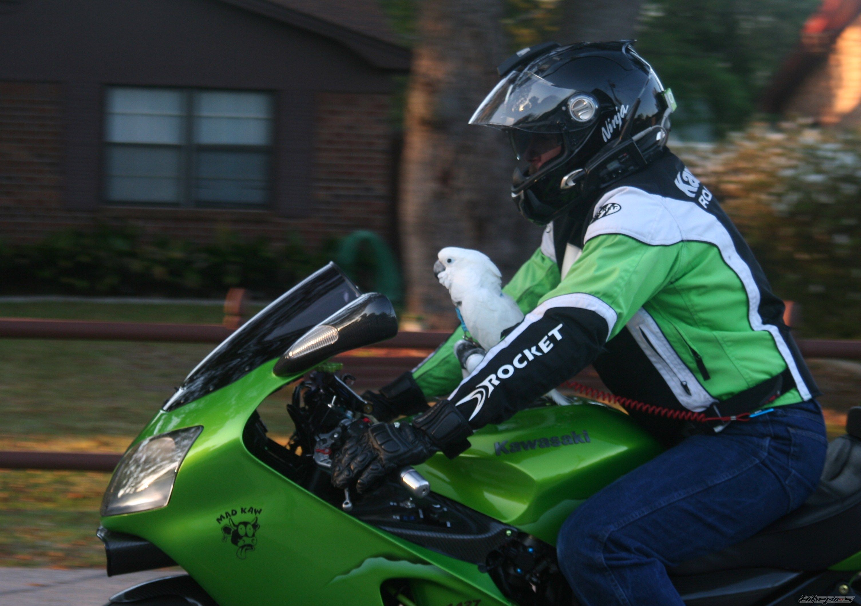 Photo 1715372
