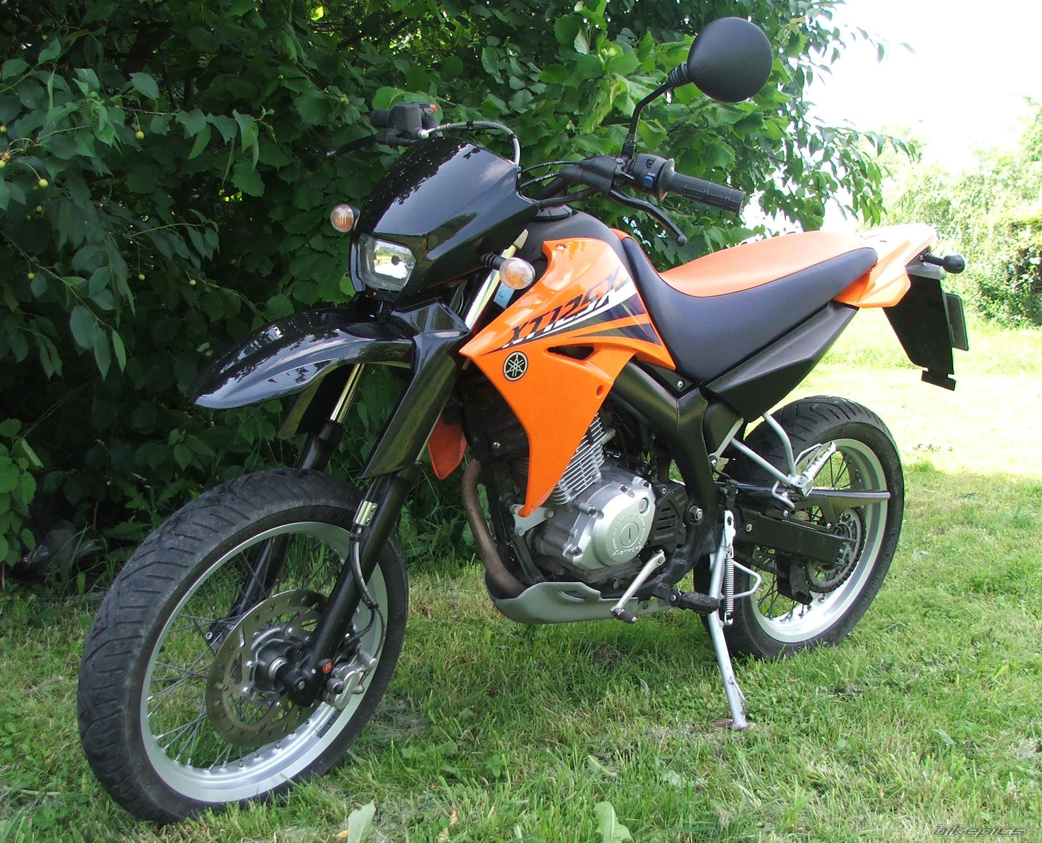 Photo 1715384