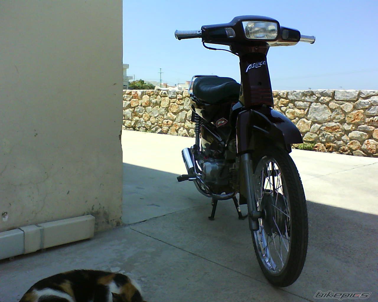 Photo 1715561