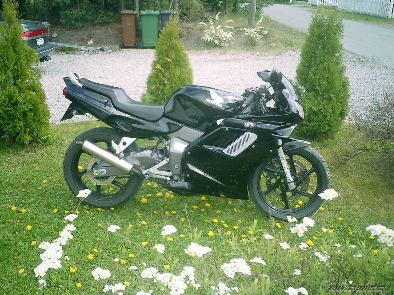 Photo 171561