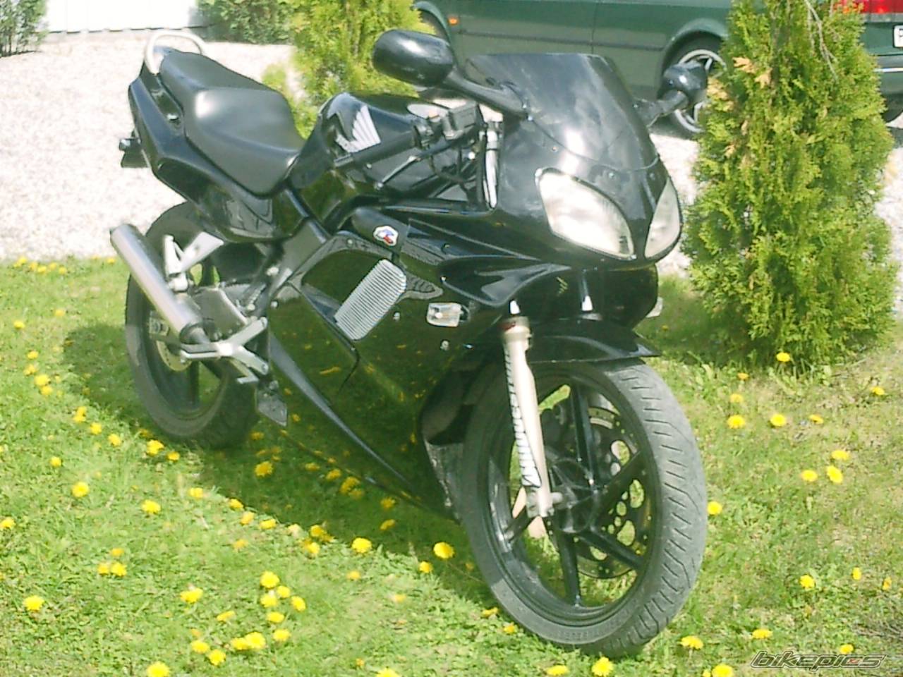 Photo 171562