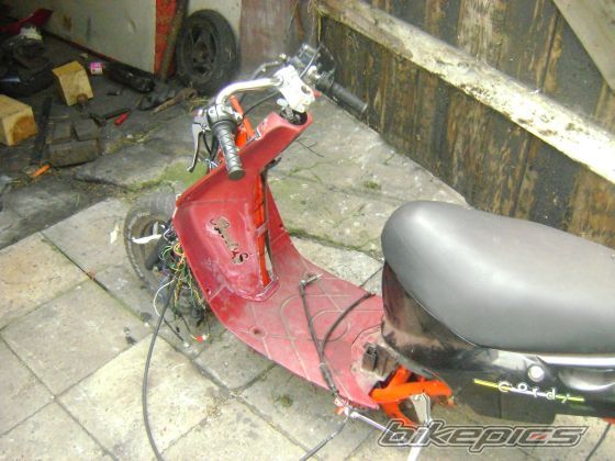 Photo 1715670