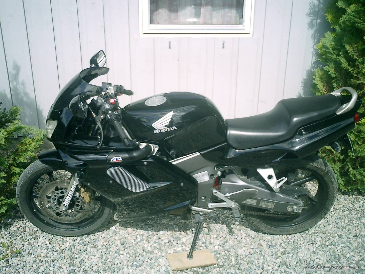 Photo 171568