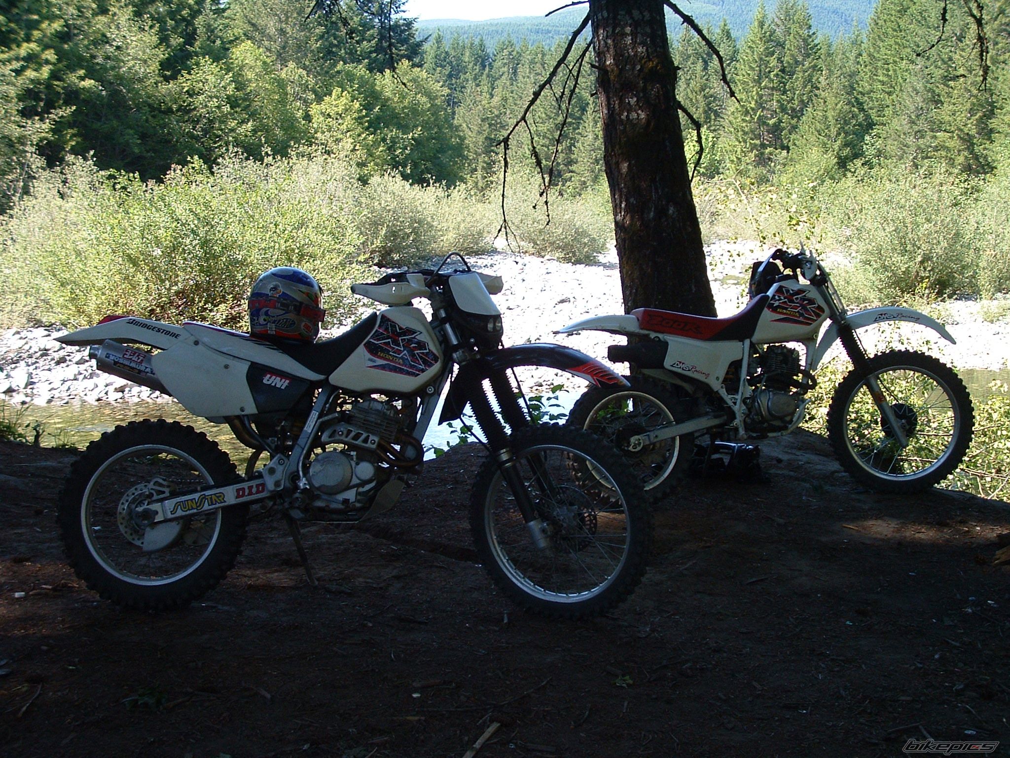 Photo 1715682