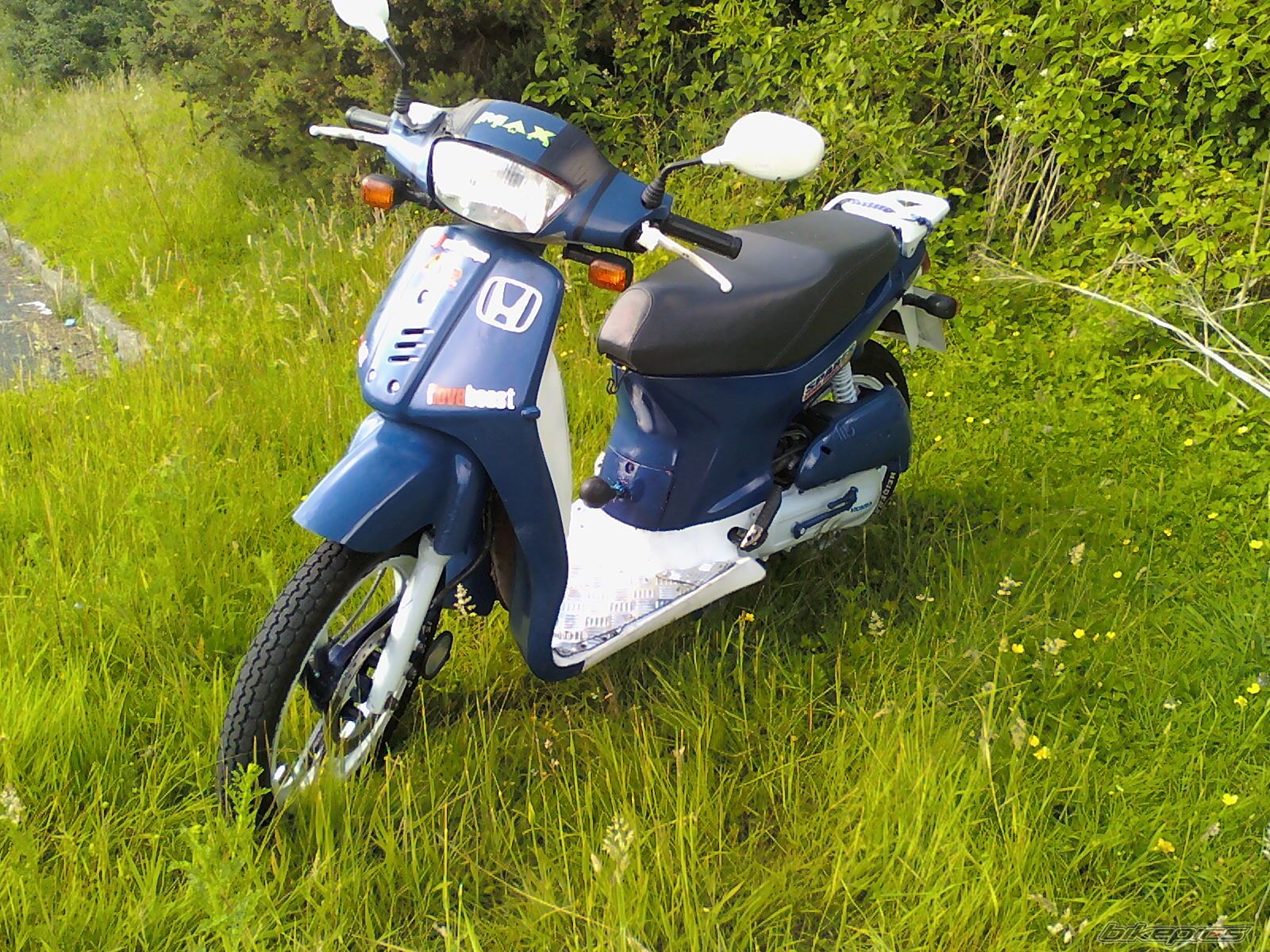 Photo 1715837
