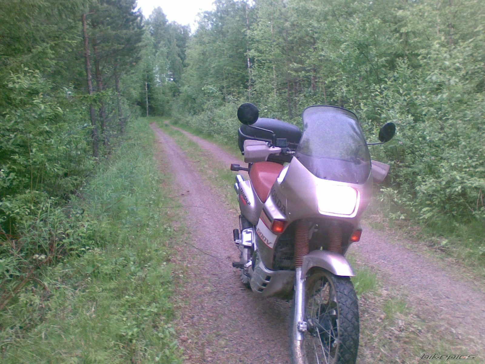 Photo 1715949
