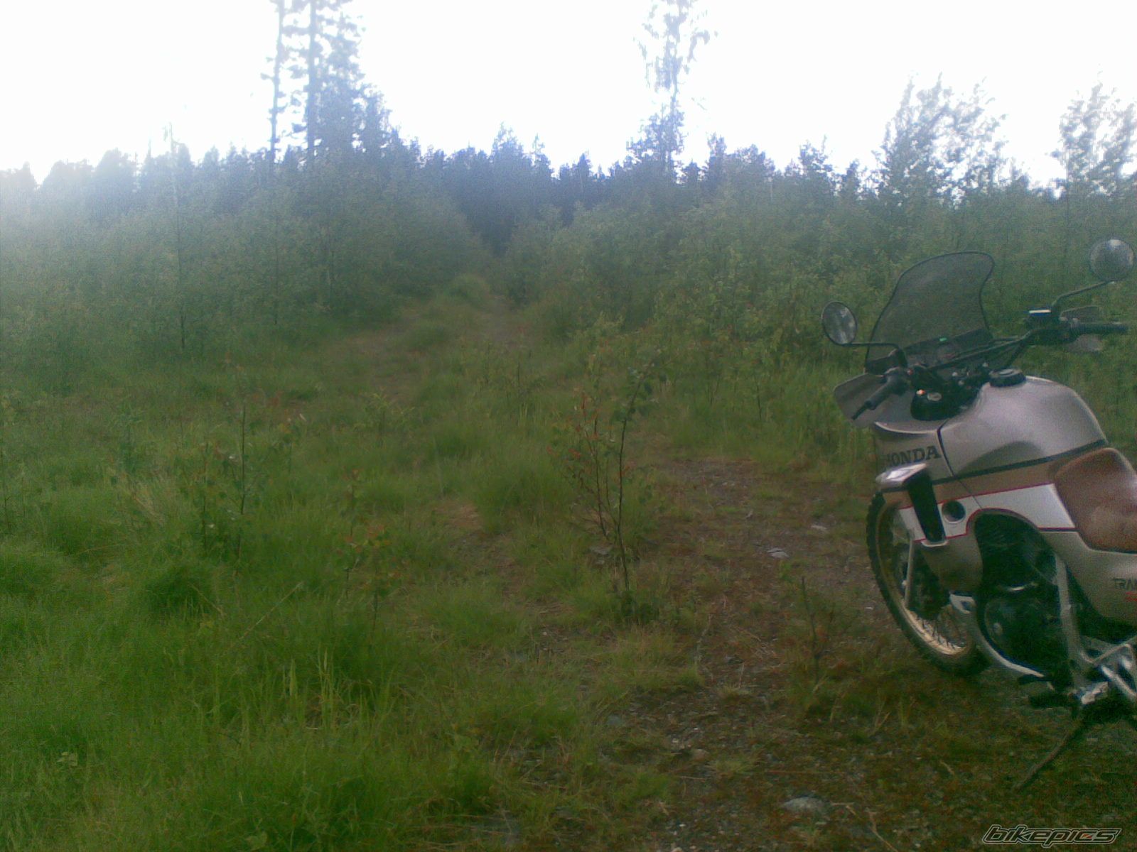 Photo 1715952