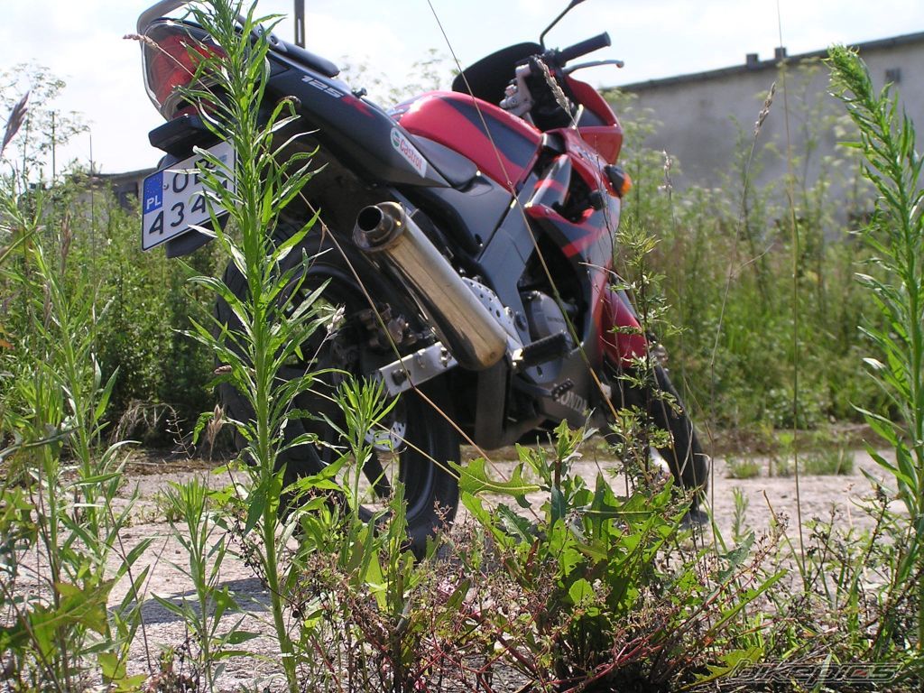 Photo 1716304