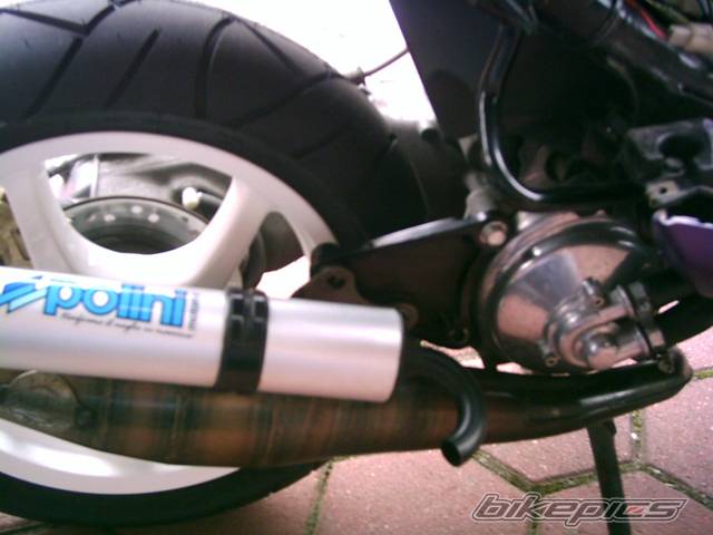 Photo 171644