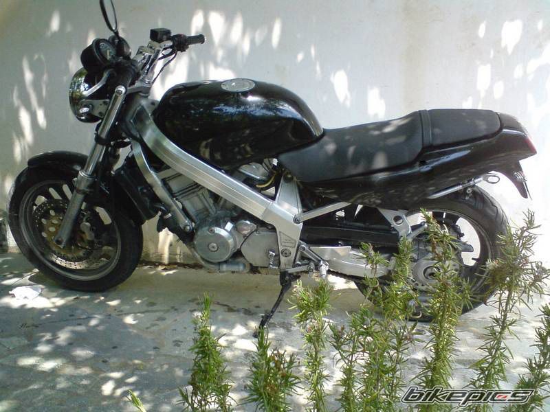 Photo 1716504