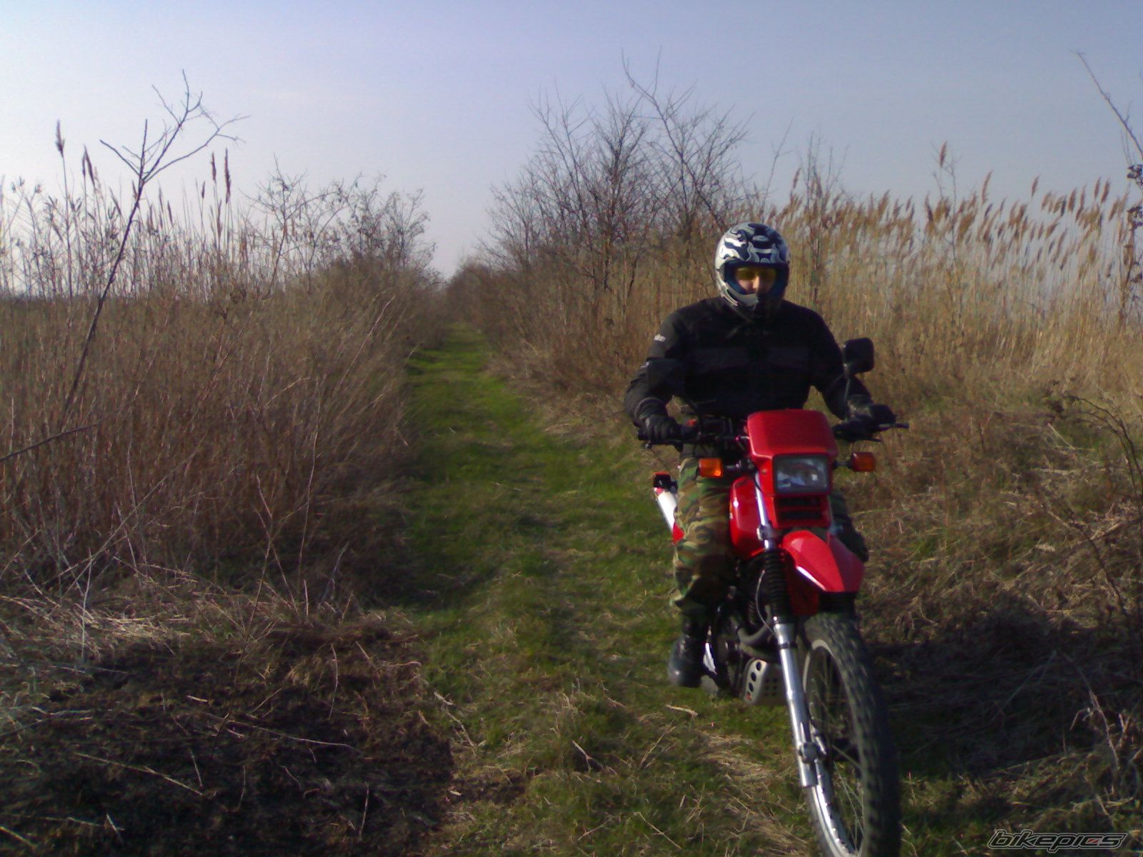 Photo 1716664