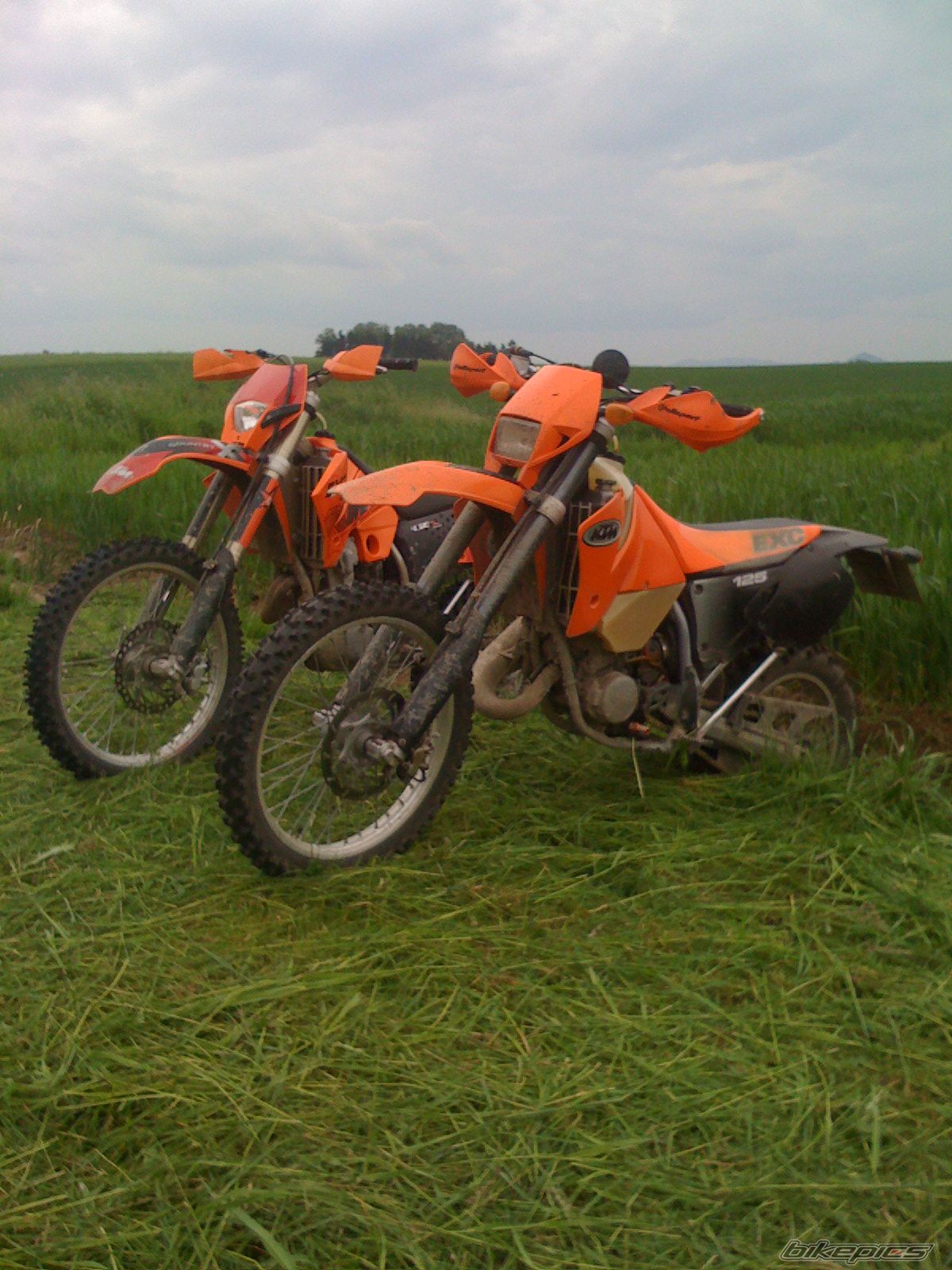 Bike Photo 1716903