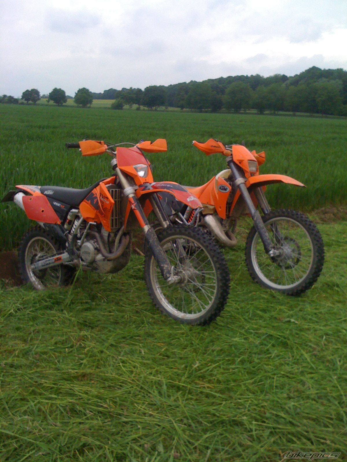 Photo 1716904