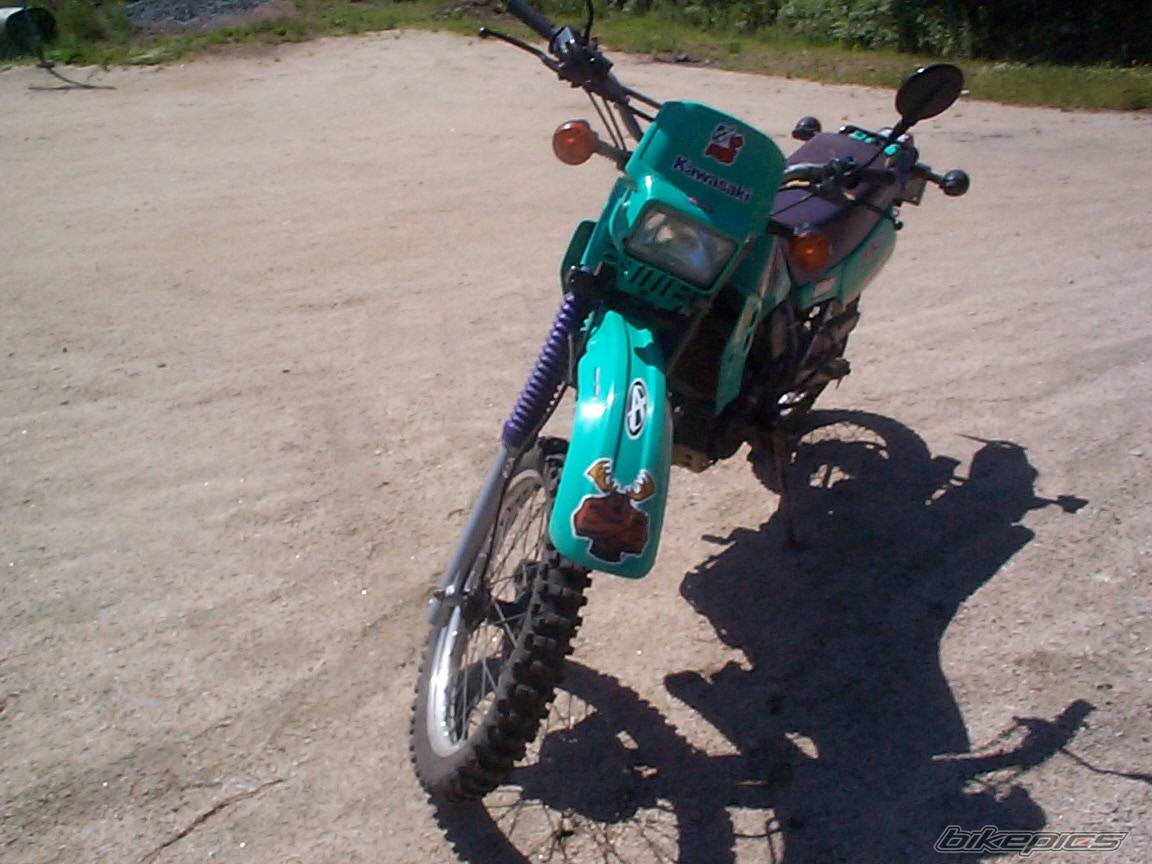 Photo 171693