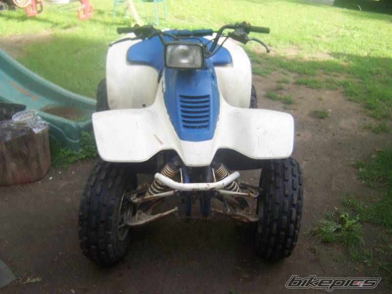 Photo 1716982