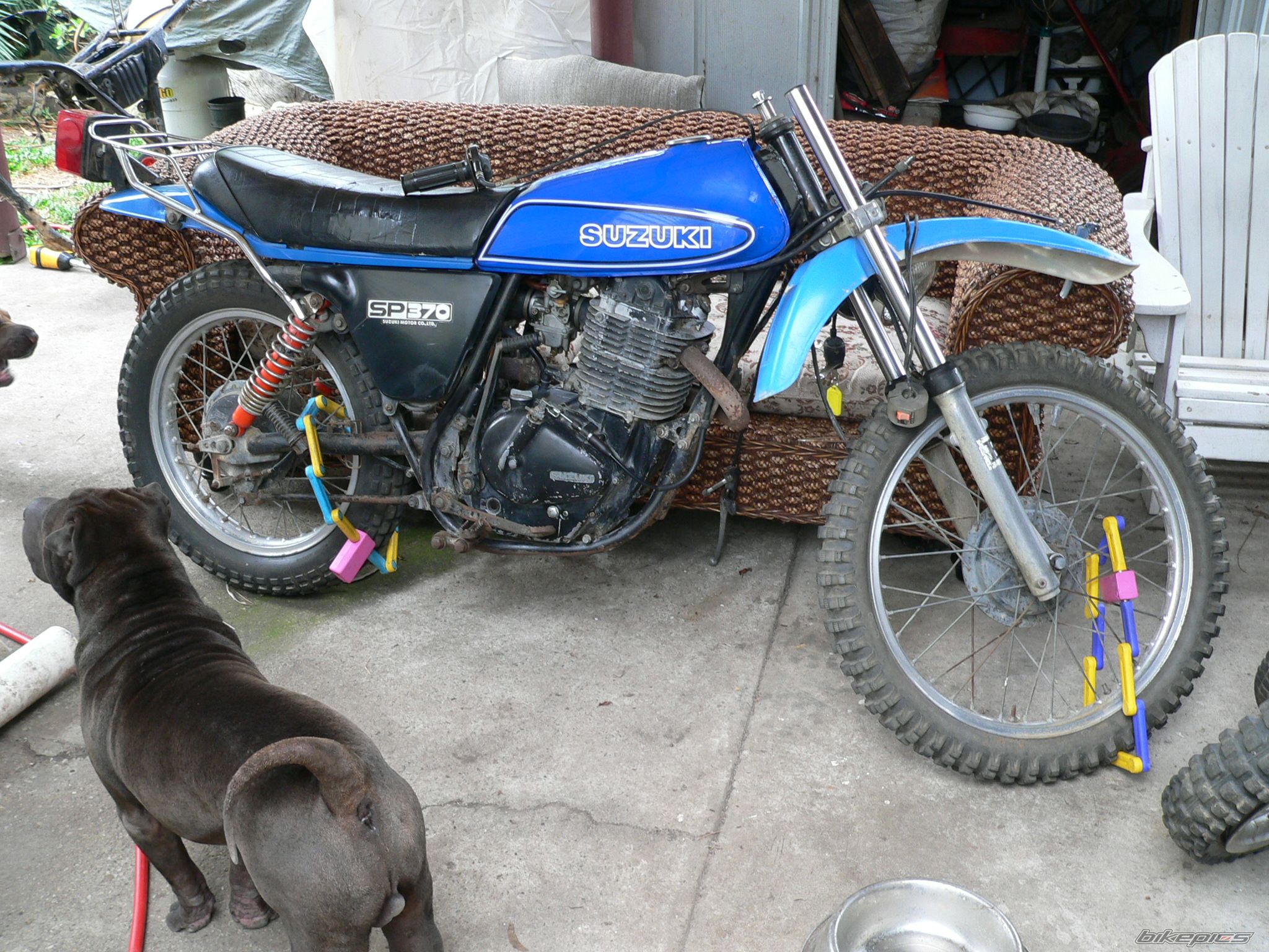 Photo 1717003