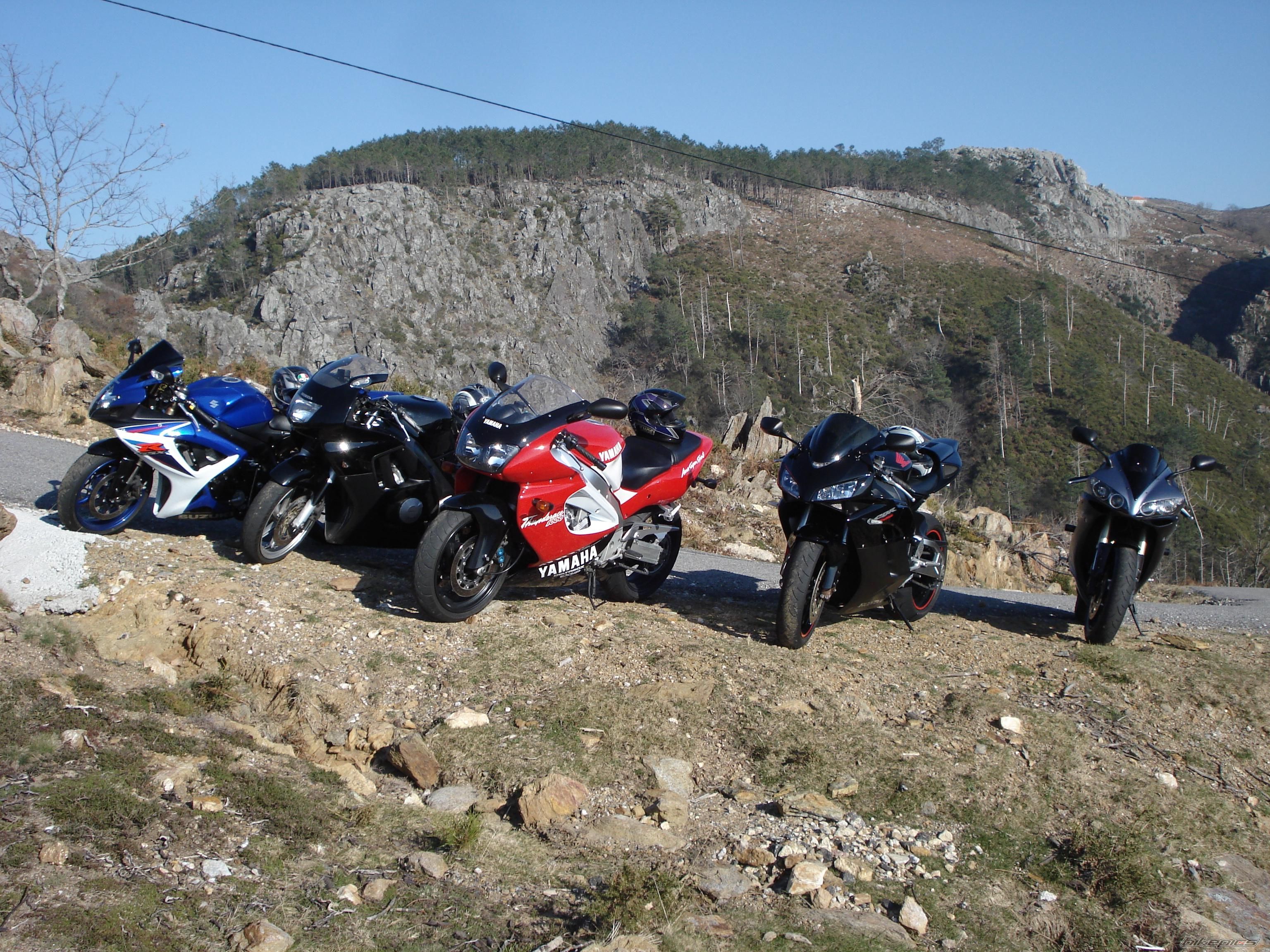 Photo 1717015