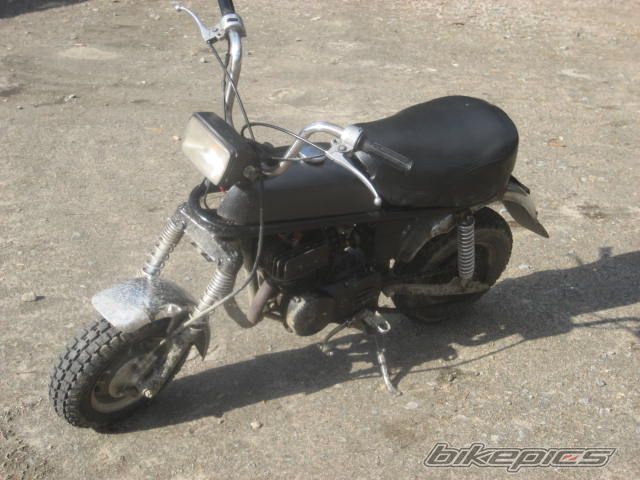 Photo 1717031