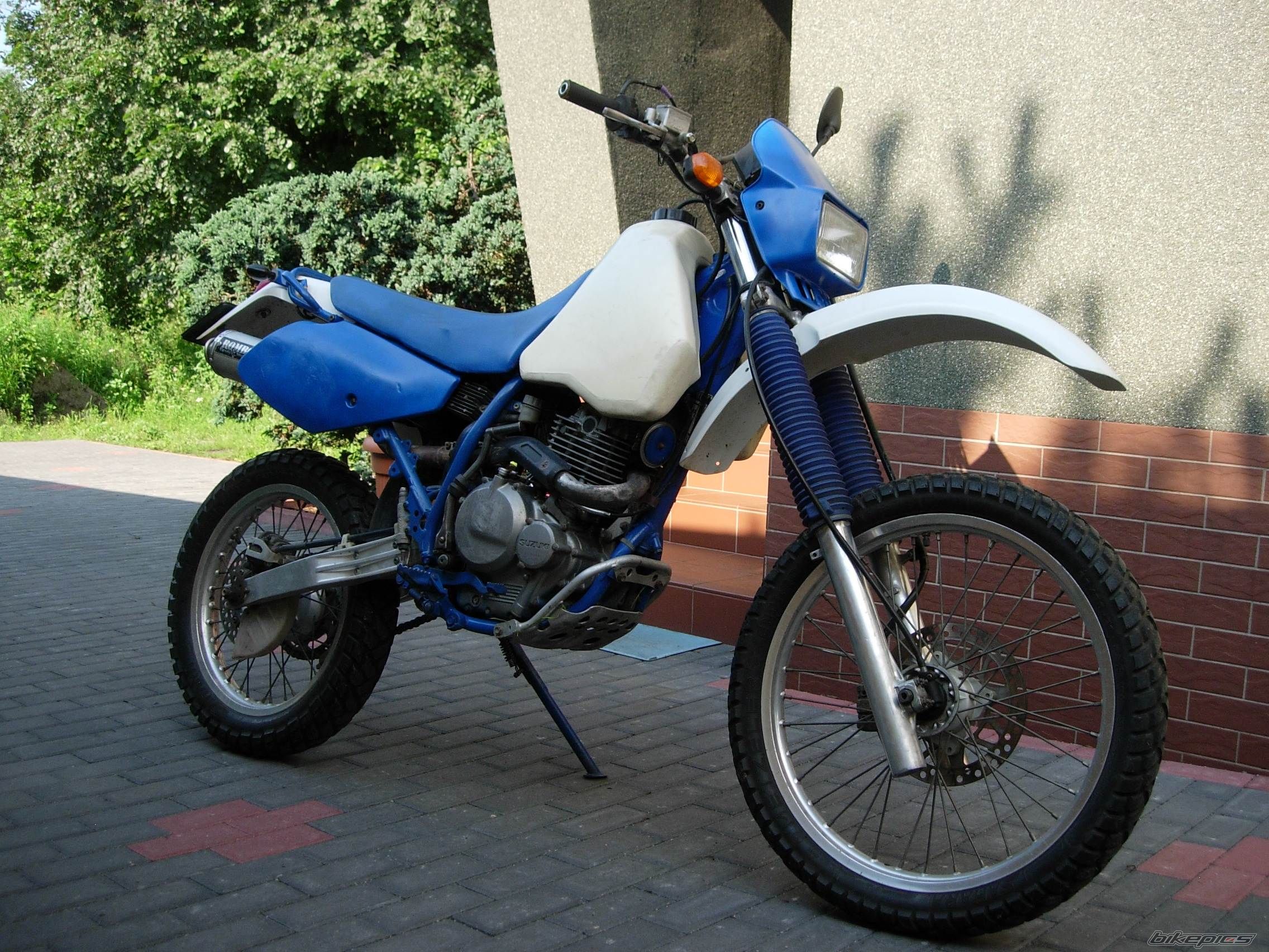 Photo 1717173