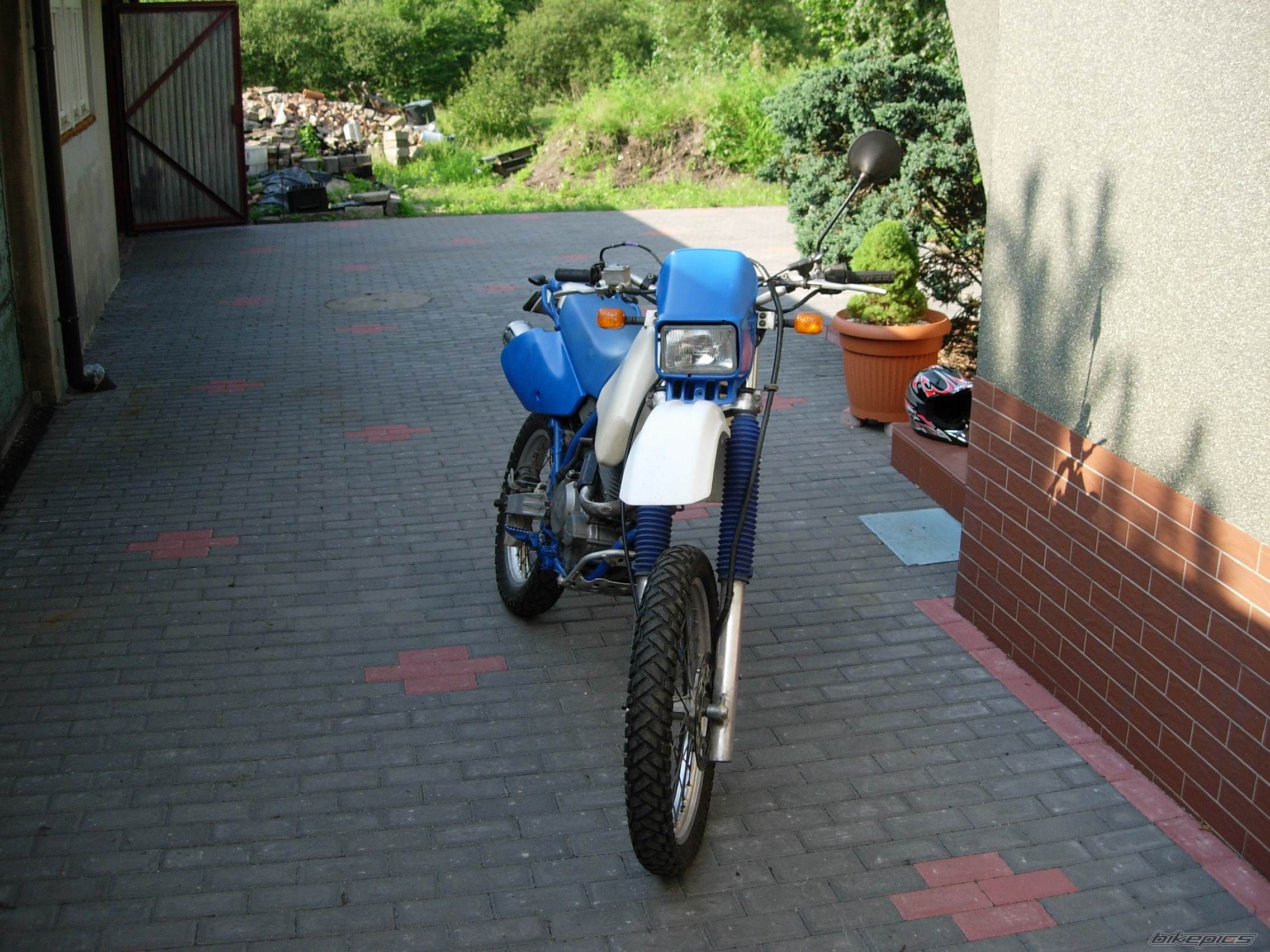 Photo 1717174