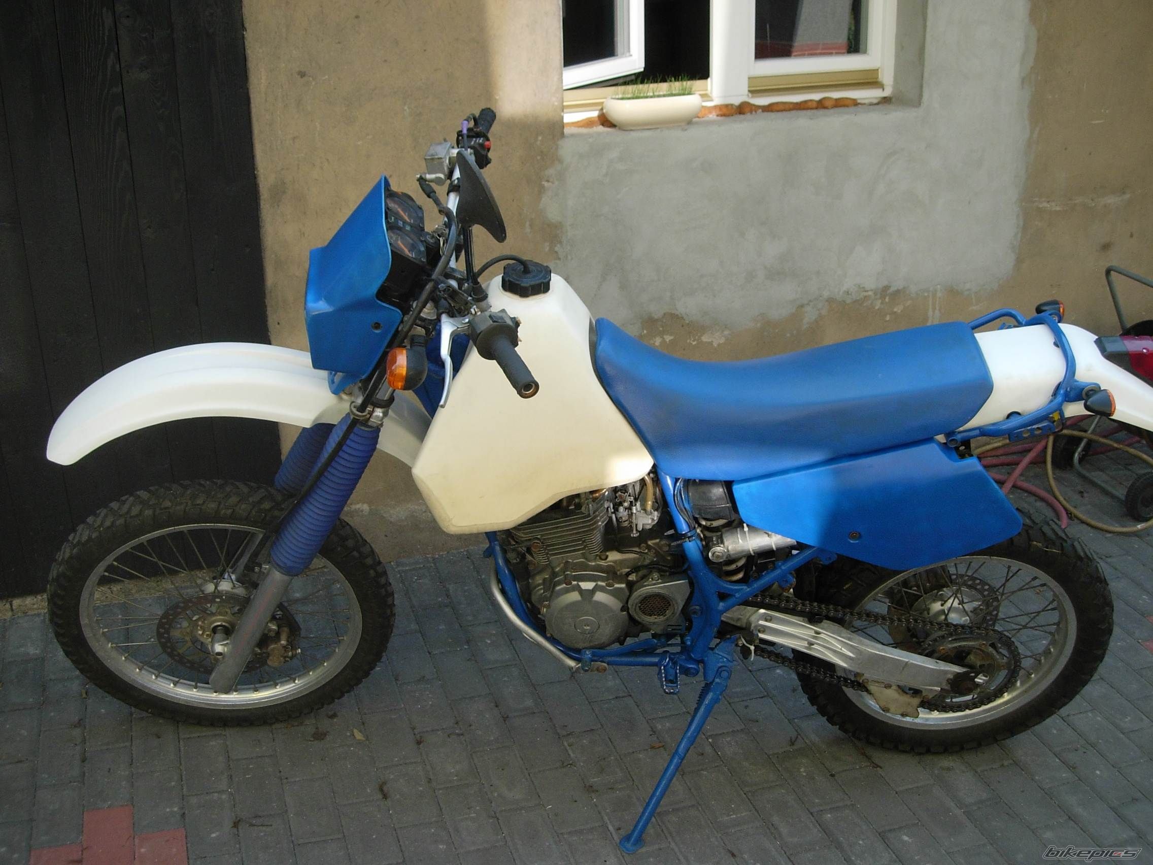 Photo 1717202