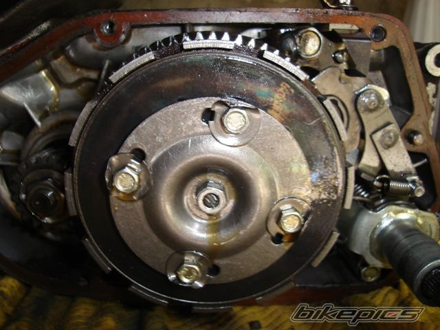 Photo 1717225