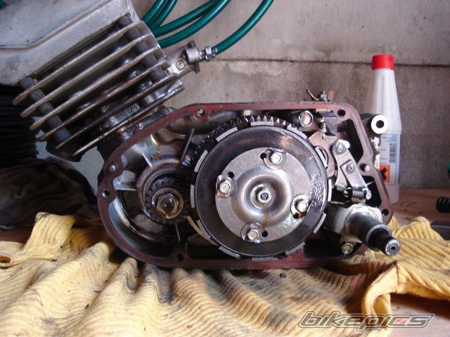 Photo 1717229