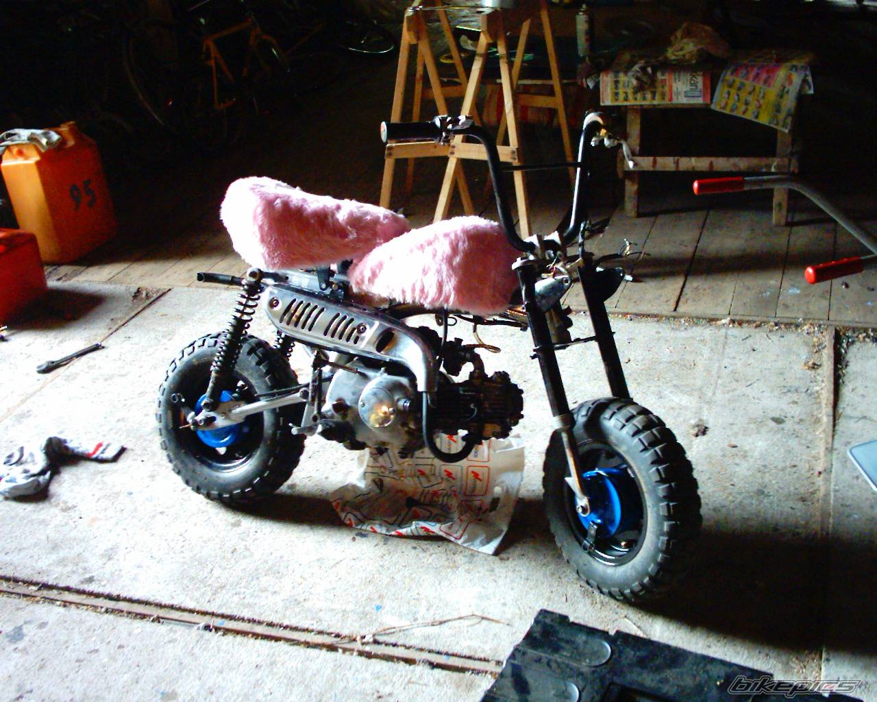 Photo 171726