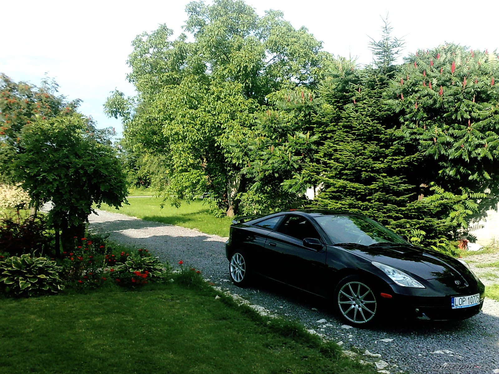 Photo 1717291