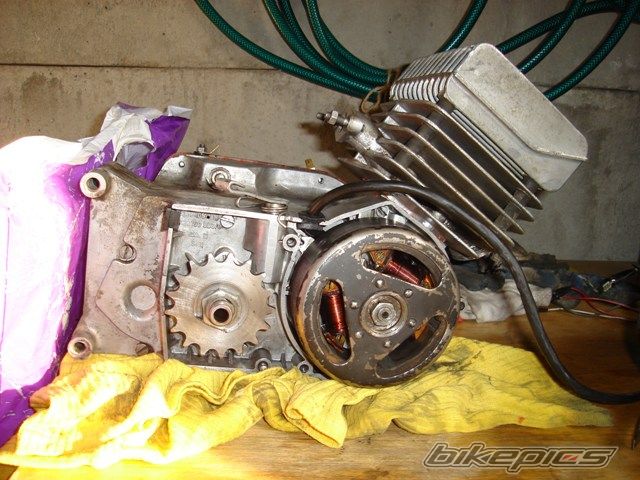Photo 1717294