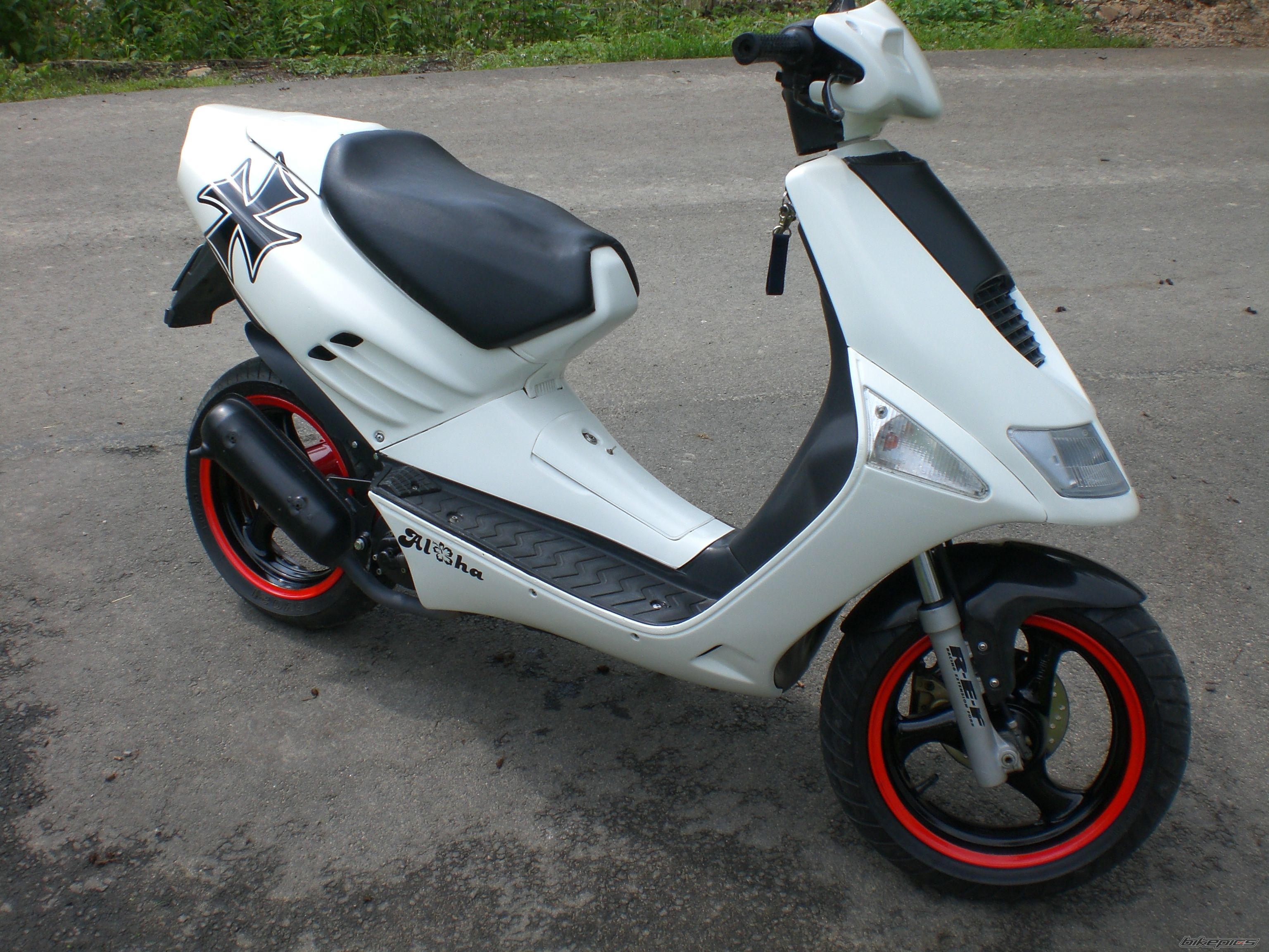 Photo 1717402