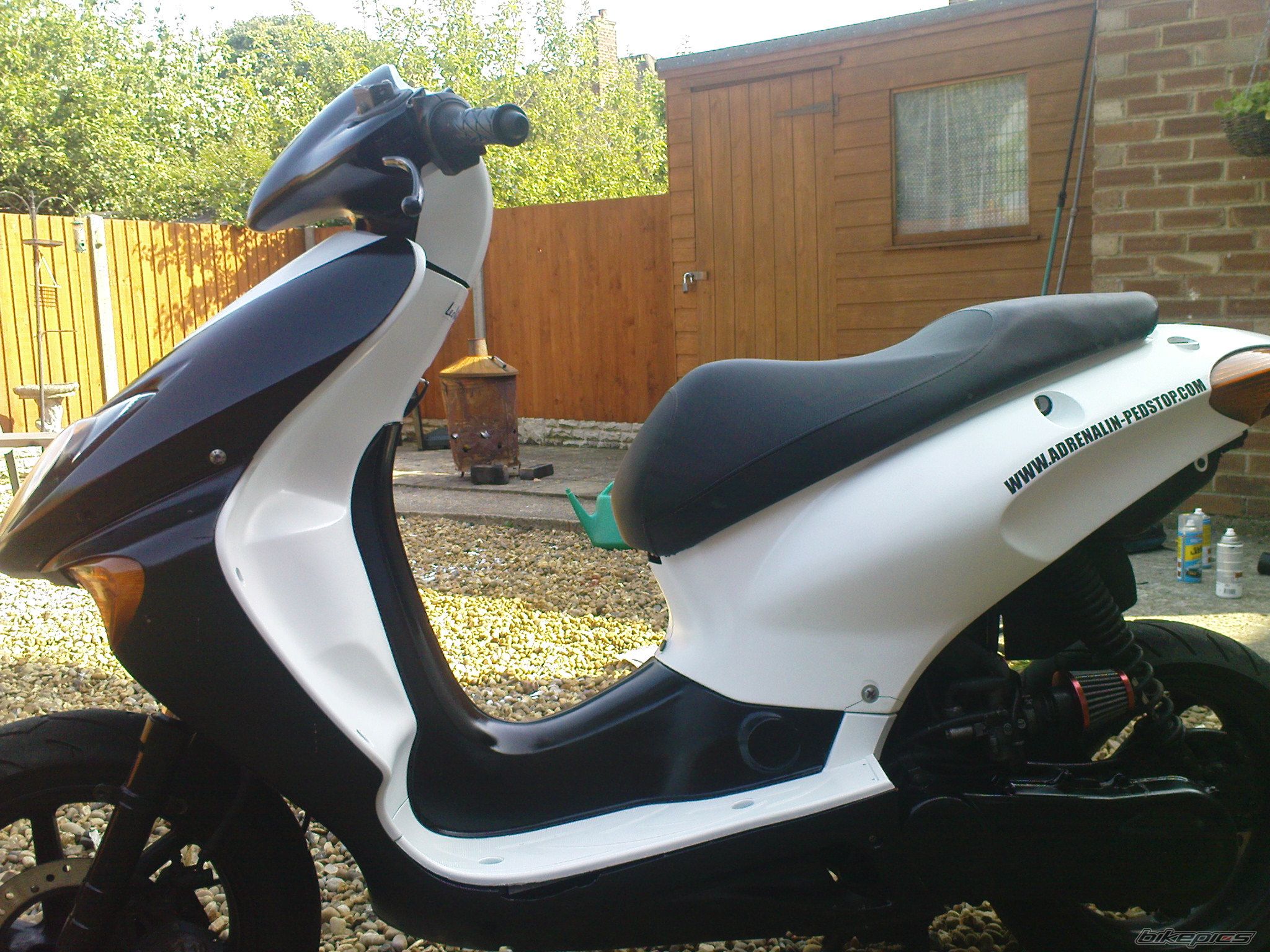 Photo 1717461