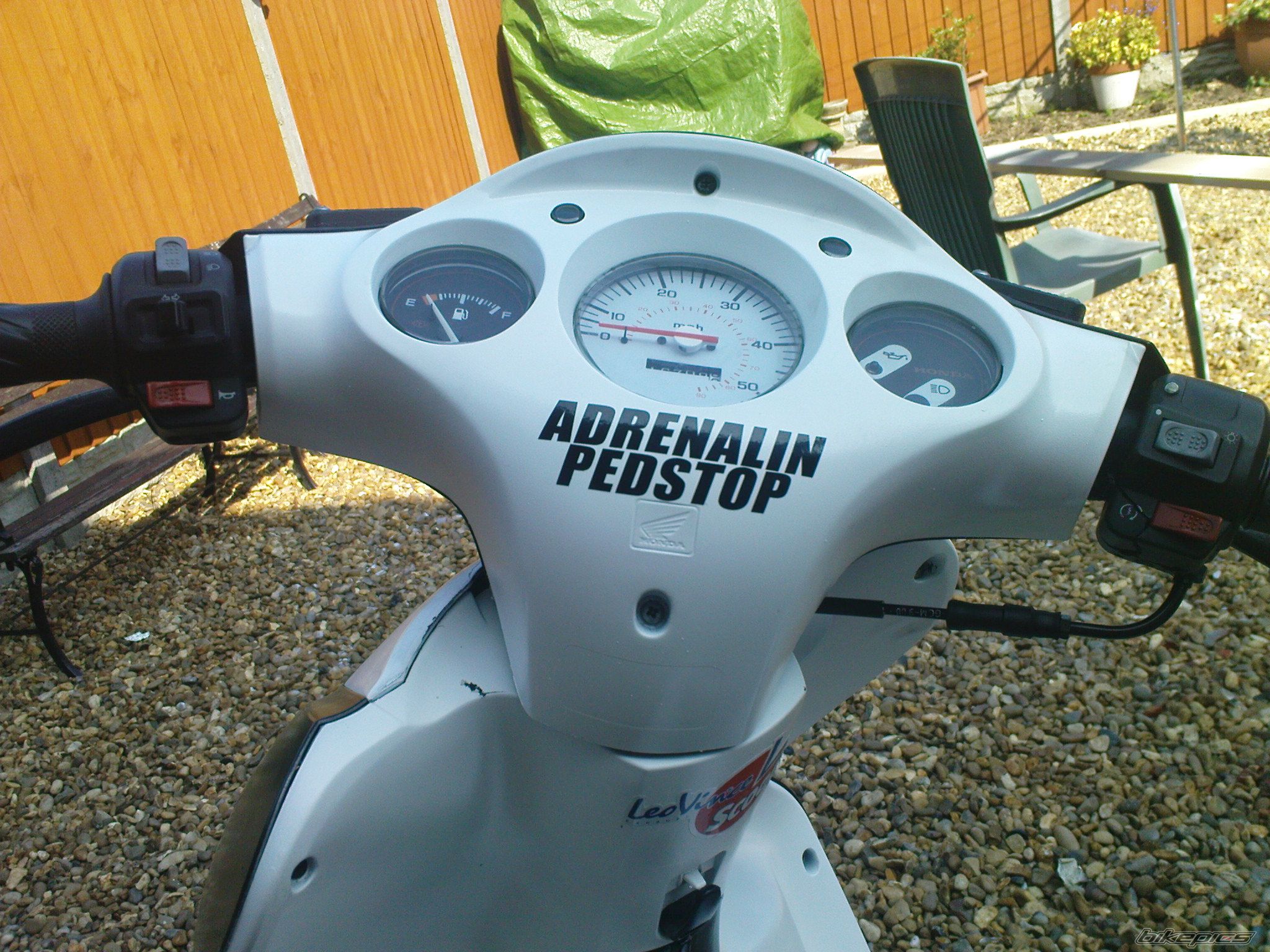 Photo 1717462