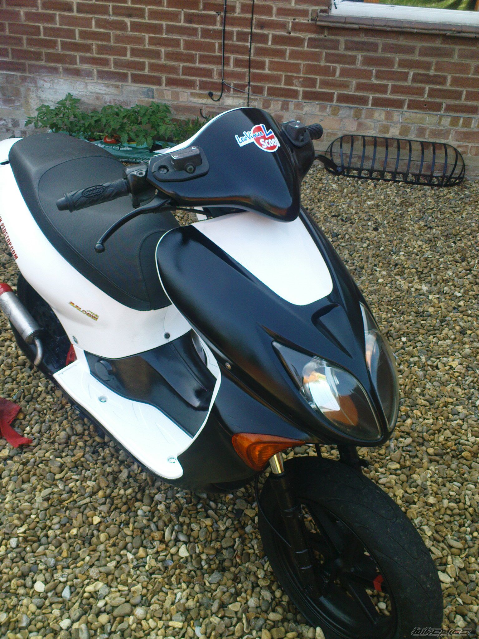 Photo 1717463