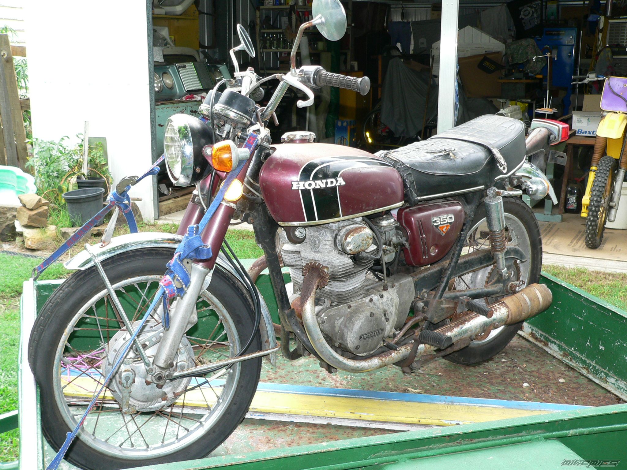 Photo 1717477