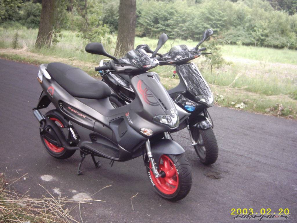 Photo 171771