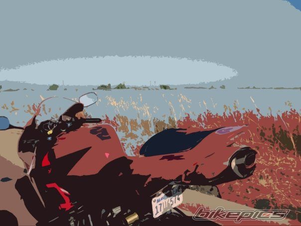 Photo 1717759