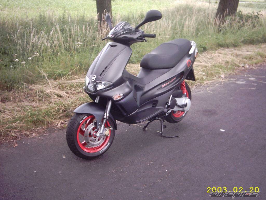 Photo 171781